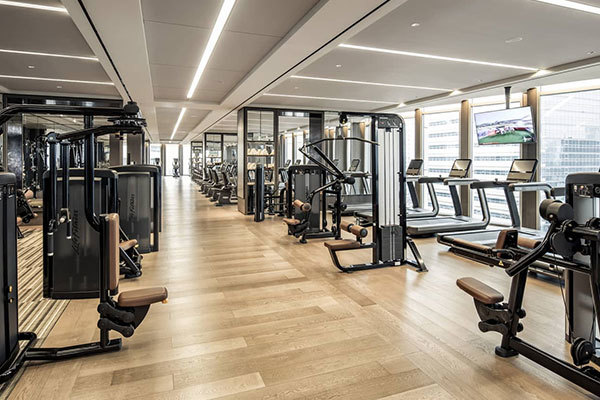 Wetenschap begeleidt fitness en geniet van een gezond leven