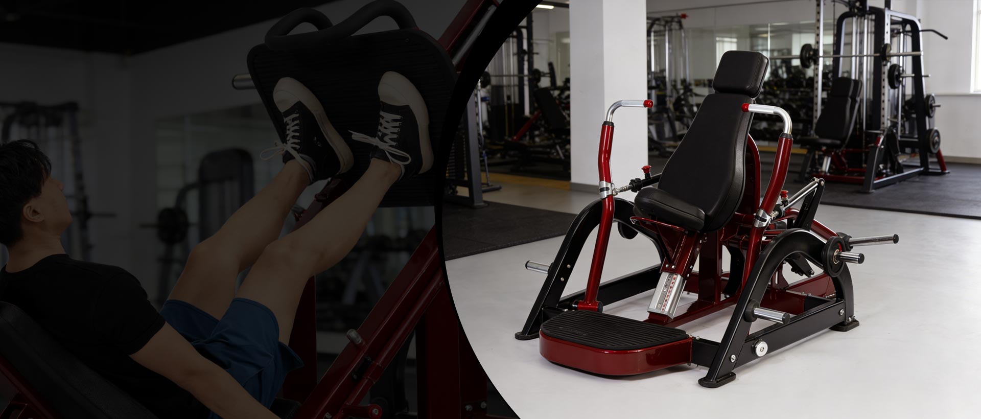 China Fabrikant van krachttrainingsmachines