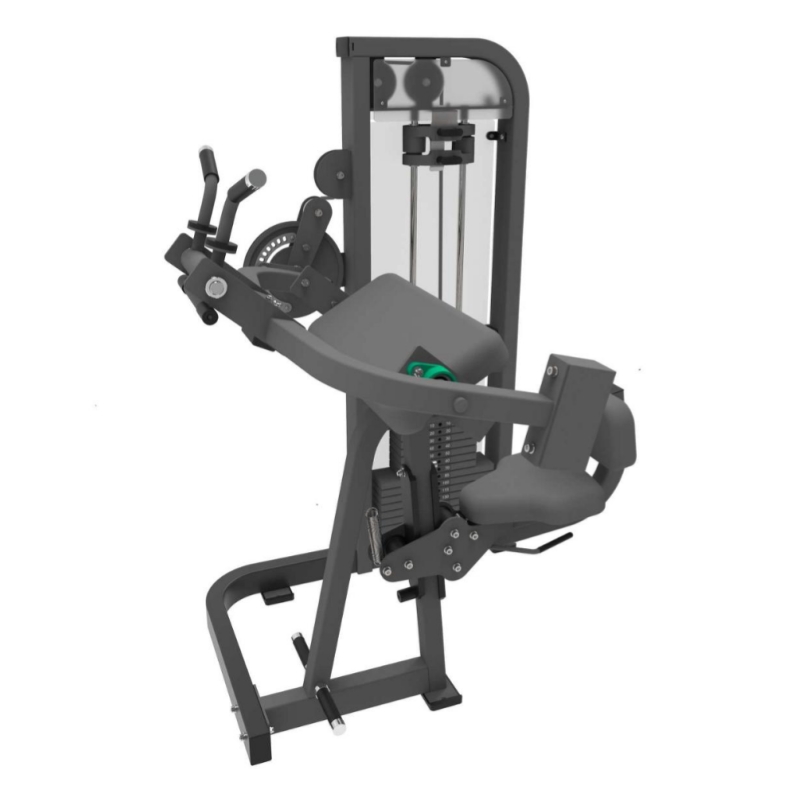 Biceps en triceps