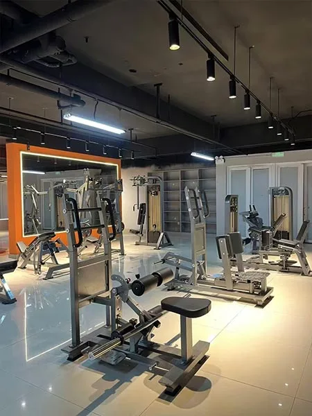 Commercial Gym